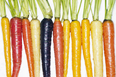 Several different colored whole carrots, top view.